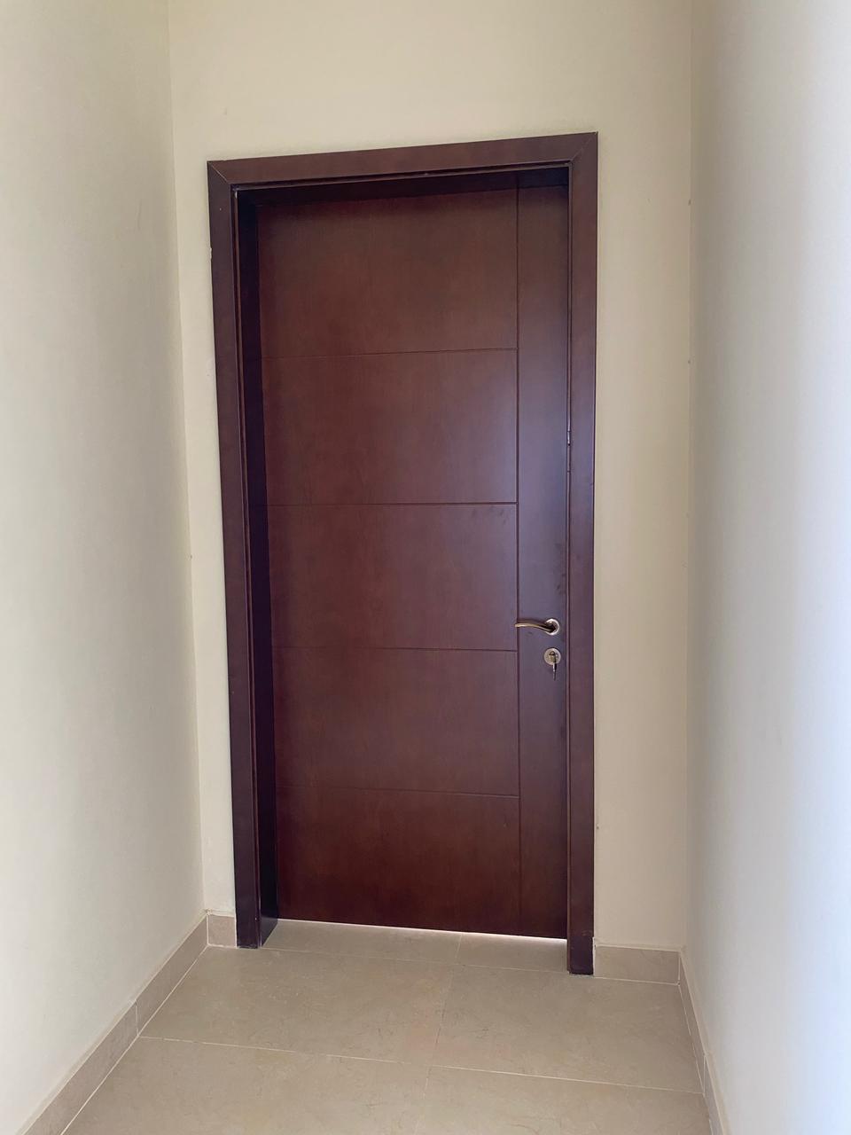 Veneer Doors with PU Paint